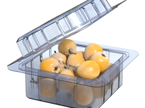 Loquat Fruit Box Plastic Transparent 3D Model