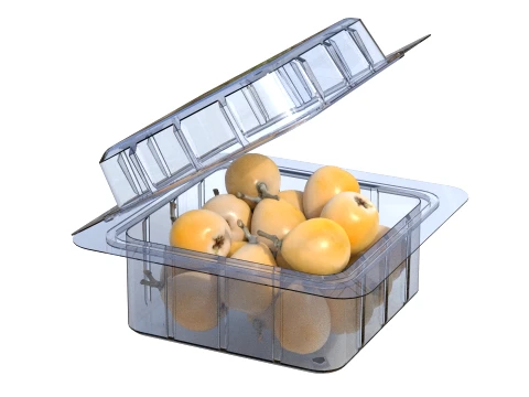 Caixa de Frutas N&ecirc;spera Pl&aacute;stico Transparente Modelo 3D