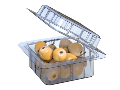 Caixa de Frutas N&ecirc;spera Pl&aacute;stico Transparente Modelo 3D