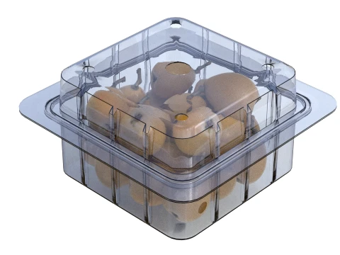 Caixa de Frutas N&ecirc;spera Pl&aacute;stico Transparente Modelo 3D
