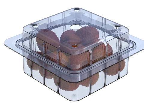 Lychee Fruit Box Plastic Transparent 3D Model