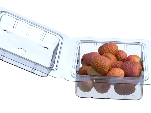 Lychee Fruit Box Plastic Transparent 3D Model