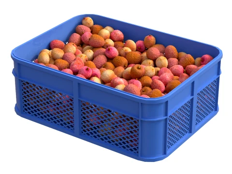Lychee Plastic Crate 3D Model