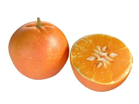 Mandarin 3D Model