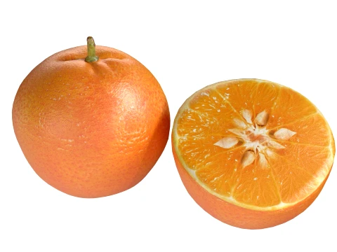 Mandarin 3D Model