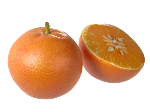 Mandarin 3D Model