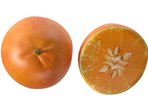 Mandarin 3D Model
