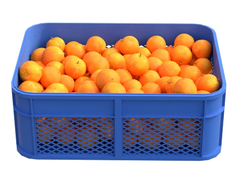 Mandarin Plastic Crate 3D Model