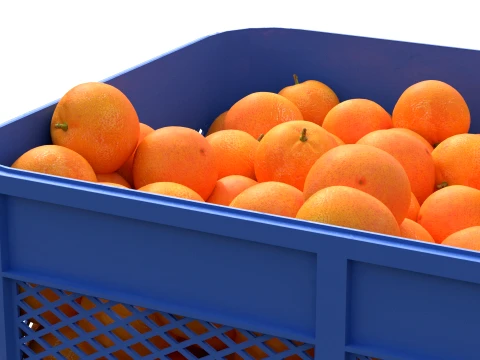 Mandarin Plastic Crate 3D Model