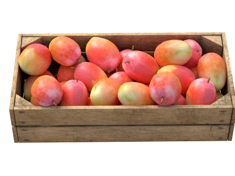 Mango 2 Wooden Crate 3D Model