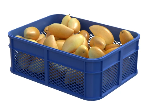 Mango 3 Plastic Crate 3D Model