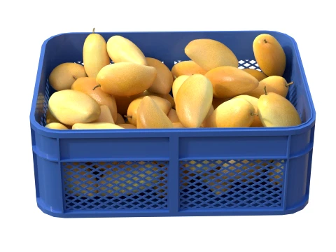 Mango 3 Plastic Crate 3D Model