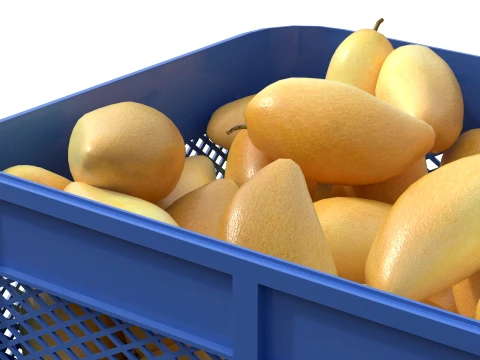 Mango 3 Plastic Crate 3D Model