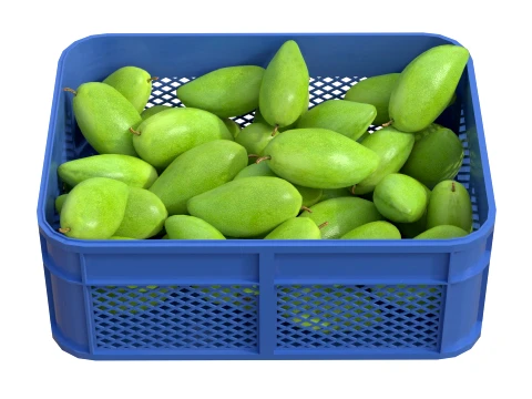 Mango 4 Plastic Crate 3D Model
