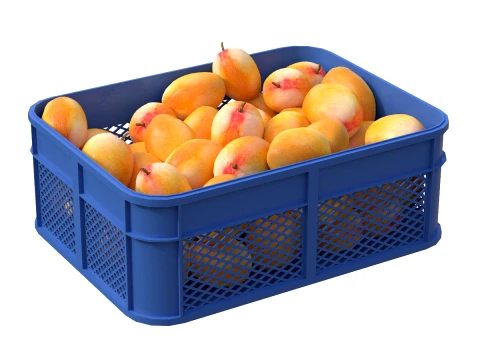 Mango Plastic Crate 3D Model