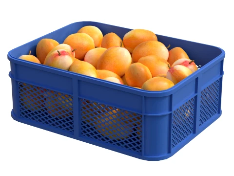 Mango Plastic Crate 3D Model