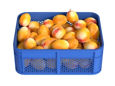 Mango Plastic Crate 3D Model