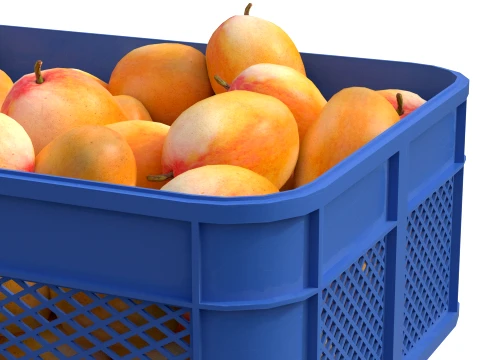 Mango Plastic Crate 3D Model