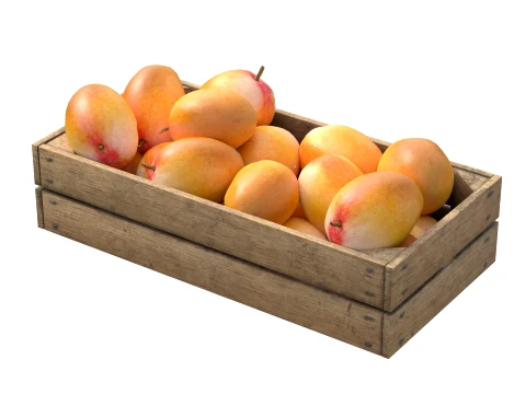 Mango Wooden Crate 3D Model