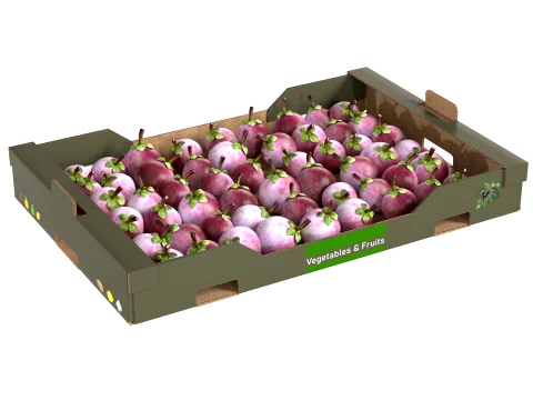 Mangosteen Cardboard Fruit Box 3D Model