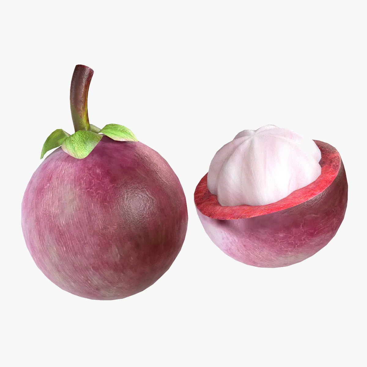 Mangosteen Fruit 3D Model .c4d .max .obj .3ds .fbx .stl .blend