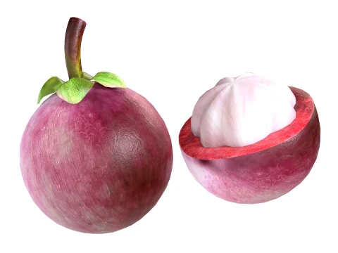Mangosteen Fruit 3D Model