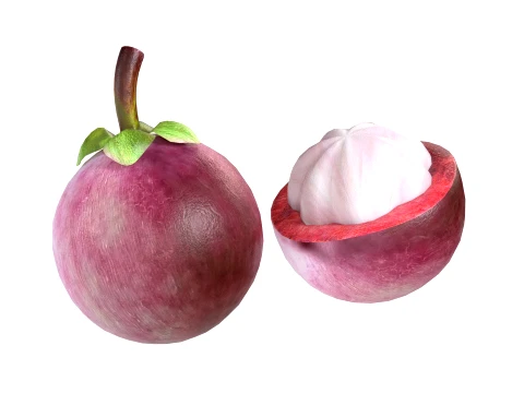 Mangosteen Fruit 3D Model