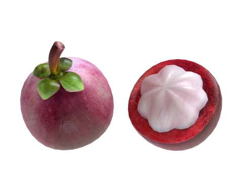 Mangosteen Fruit 3D Model