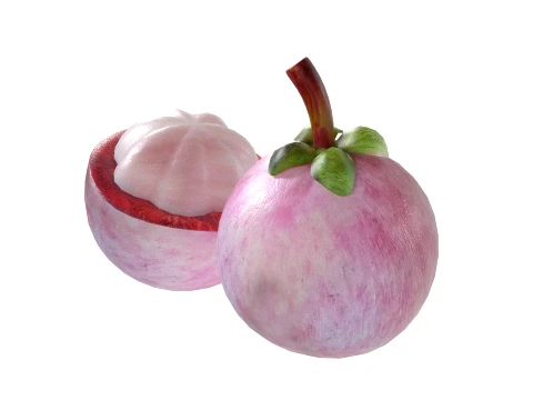 Mangosteen Fruit 3D Model