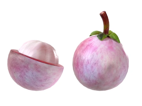 Mangosteen Fruit 3D Model