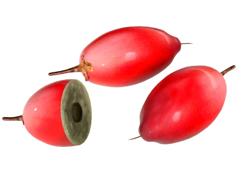 Miracle Fruit 3D Model