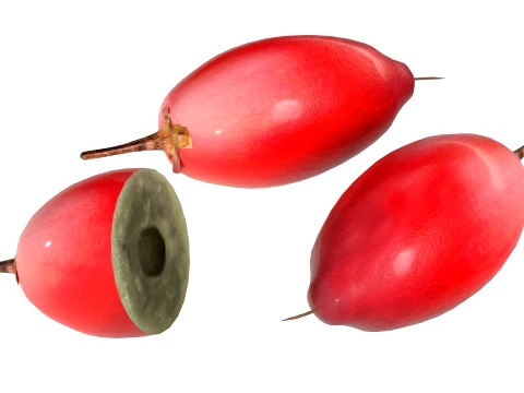Miracle Fruit 3D Model