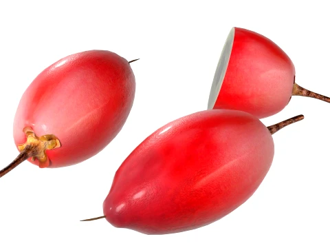 Miracle Fruit 3D Model
