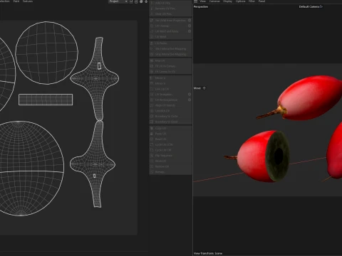 Miracle Fruit 3D Model