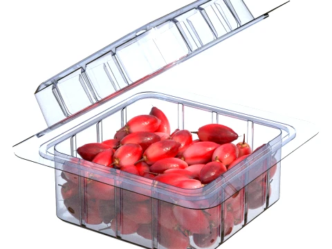 Miracle Fruit Fruit Box Plastic Transparent 3D Model