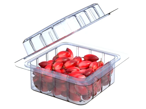 Miracle Fruit Fruit Box Plastic Transparent 3D Model
