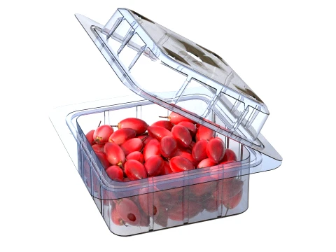 Miracle Fruit Fruit Box Plastic Transparent 3D Model