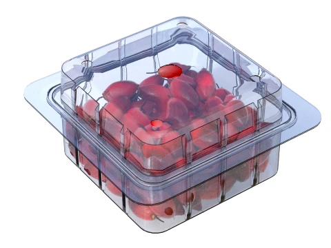 Miracle Fruit Fruit Box Plastic Transparent 3D Model