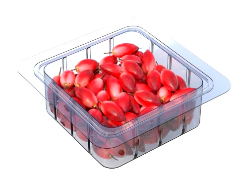 Miracle Fruit Fruit Box Plastic Transparent 3D Model