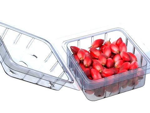 Miracle Fruit Fruit Box Plastic Transparent 3D Model