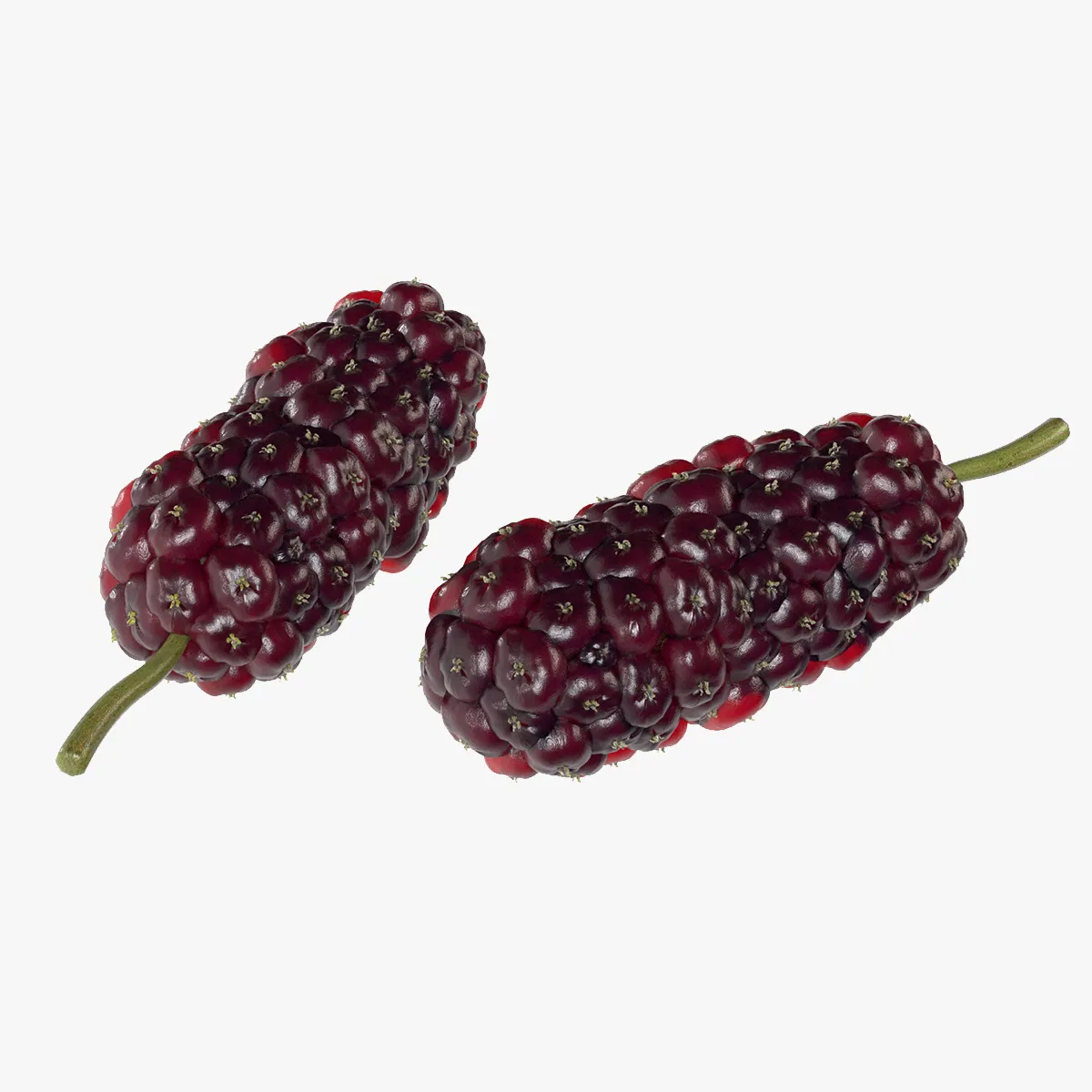 Mulberry Fruit 3D Model .c4d .max .obj .3ds .fbx .stl .blend