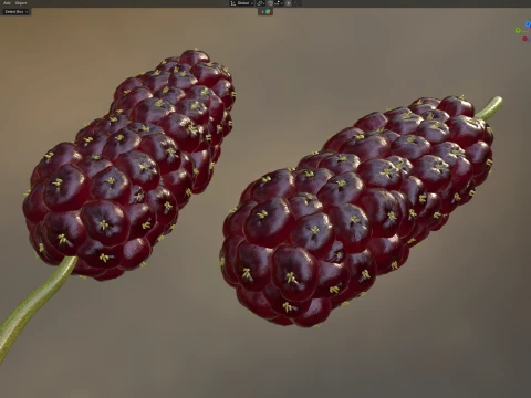 Mulberry Fruit 3D Model