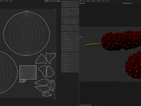Mulberry Fruit 3D Model