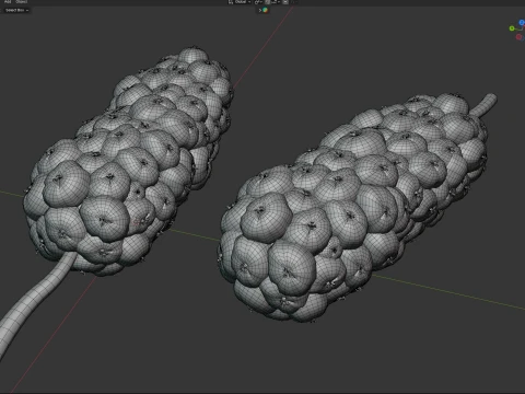 Mulberry Fruit 3D Model