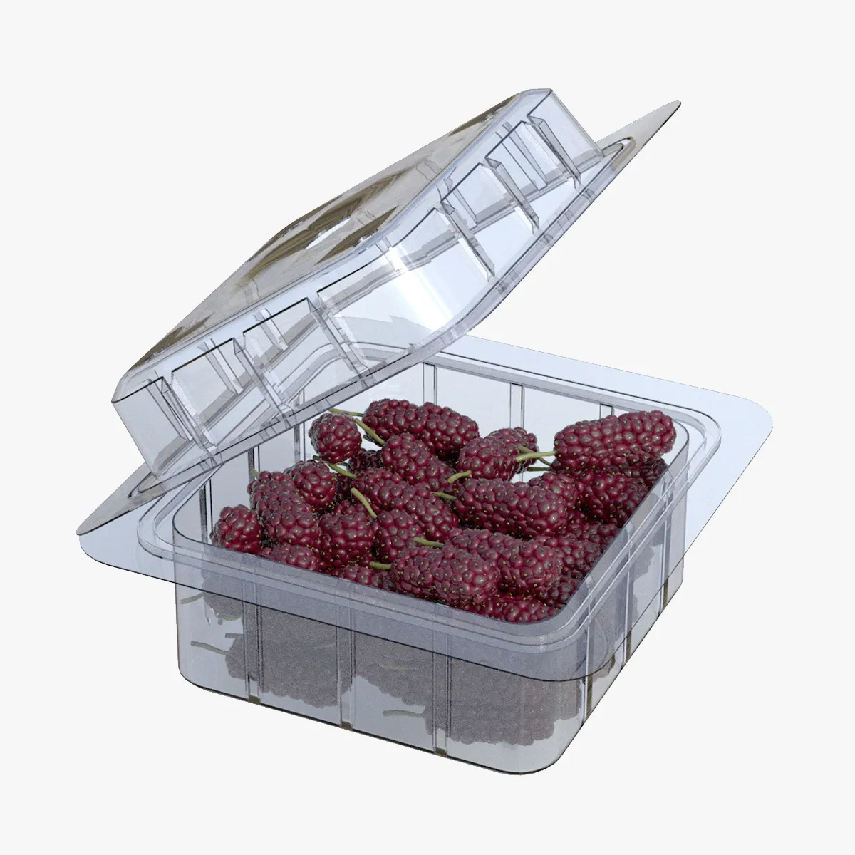 Mulberry Fruit Box Plastic Transparent 3D Model .c4d .max .obj .3ds .fbx .stl .blend 