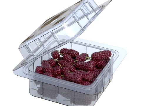 Caja de Frutas Mulberry Pl&aacute;stico Transparente Modelo 3D