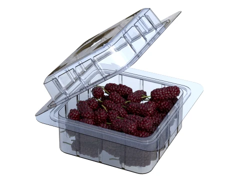 Mulberry Fruit Box Plastic Transparent 3D Model