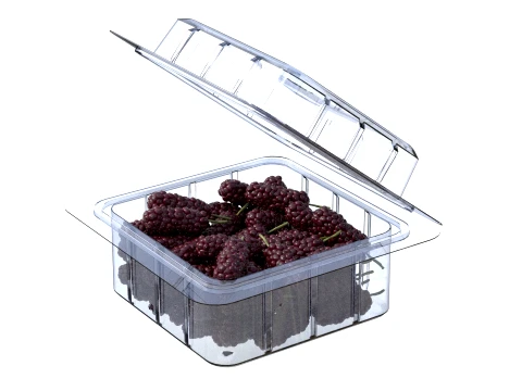 Mulberry Fruit Box Plastic Transparent 3D Model