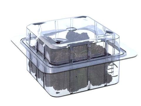 Mulberry Fruit Box Plastic Transparent 3D Model