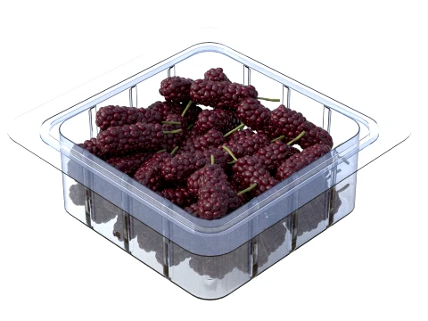 Mulberry Fruit Box Plastic Transparent 3D Model